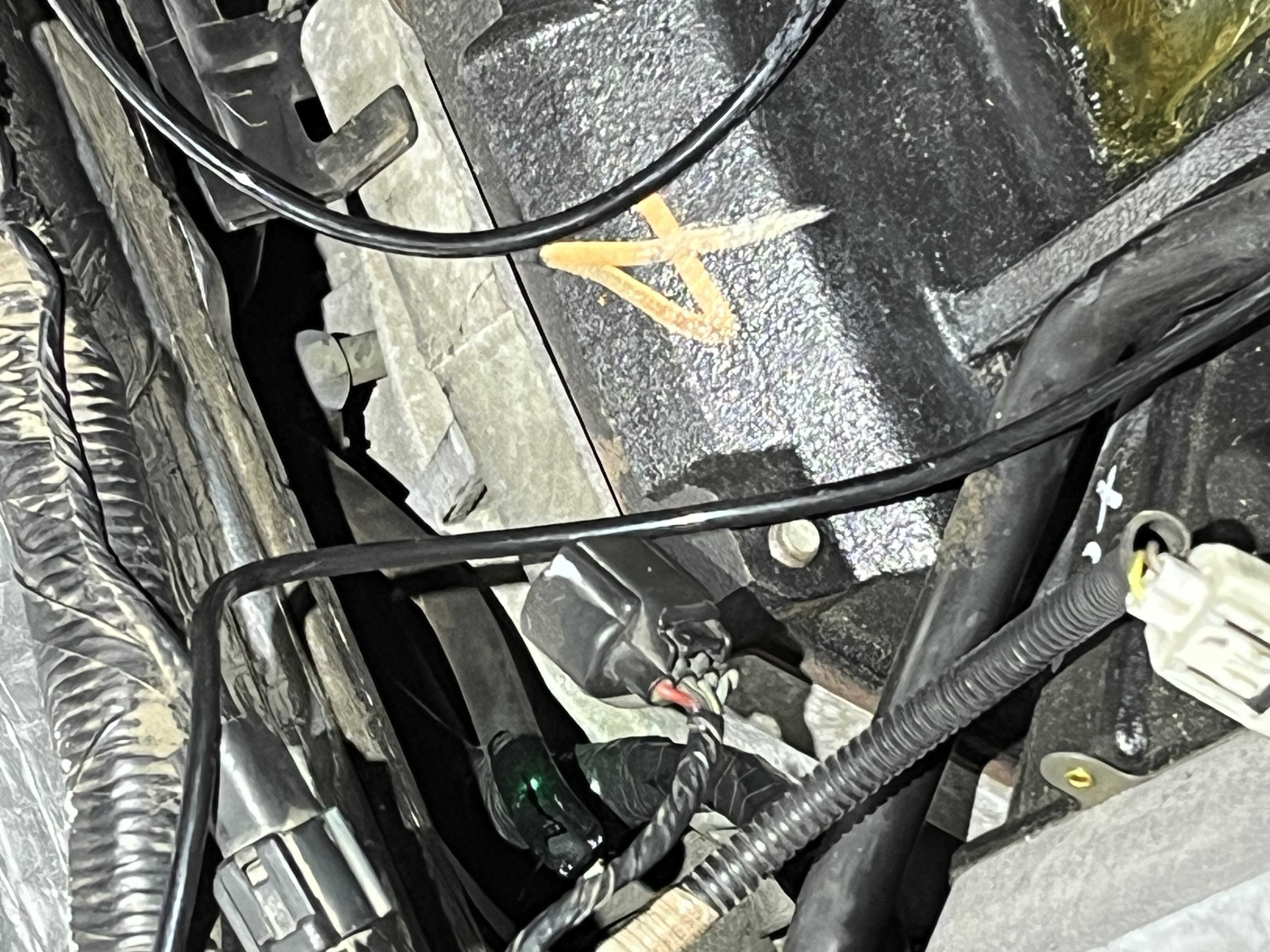 Undercarriage Inspection & Repair